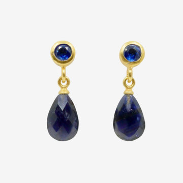 Elegante goldene blaue Ohrringe hängend