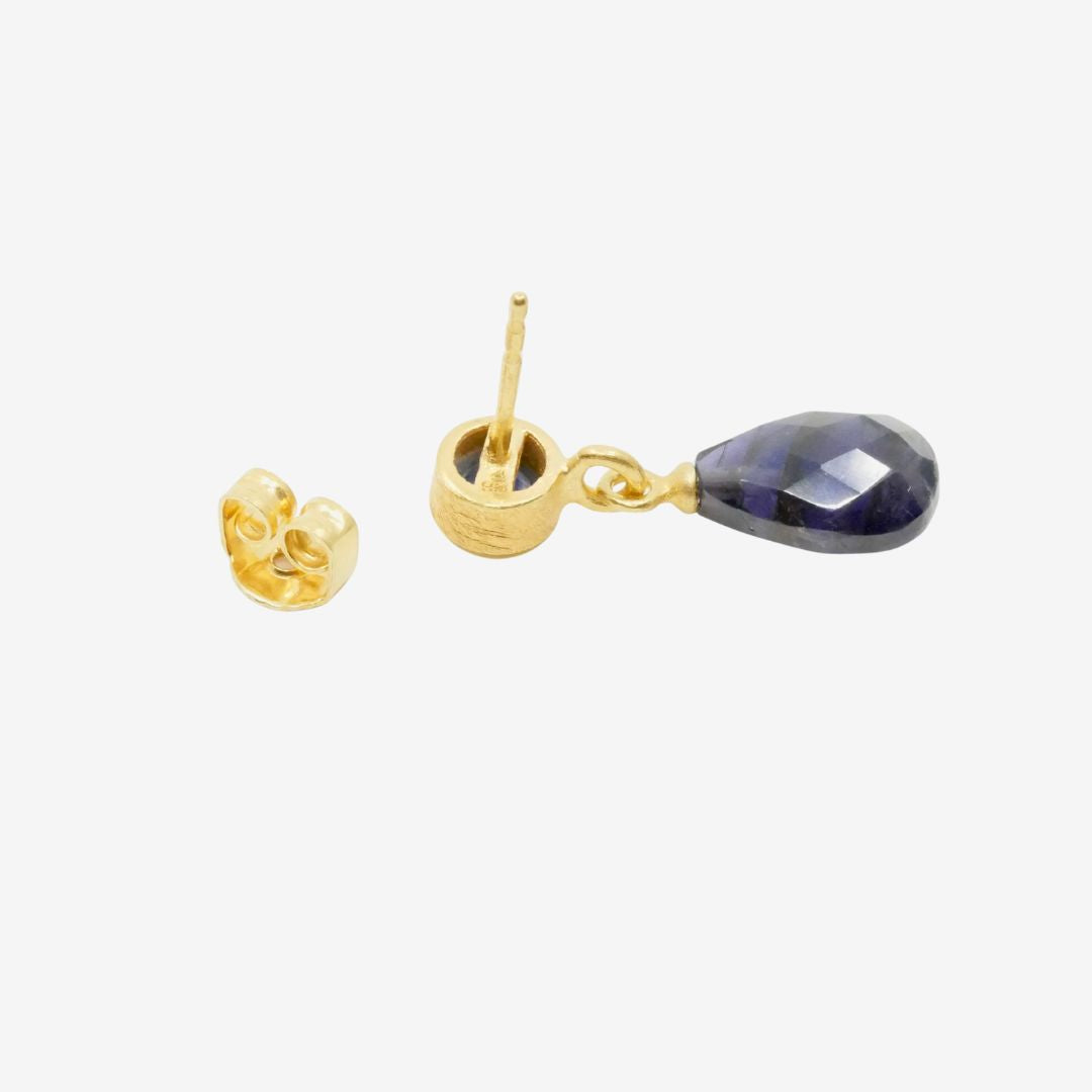 Elegante goldene blaue Ohrringe hängend