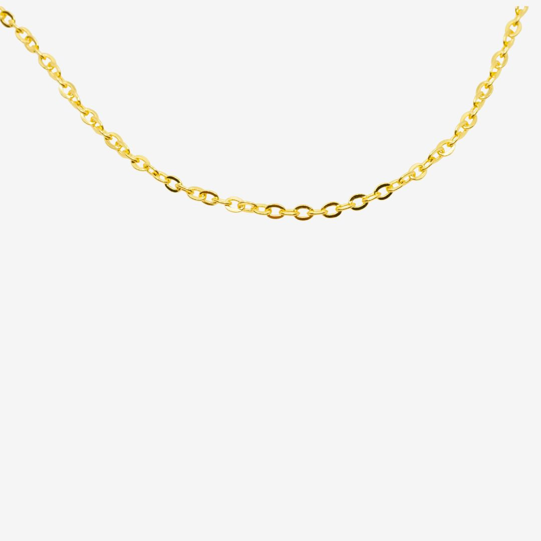 Anker  Kette Gold