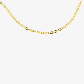 Anker  Kette Gold